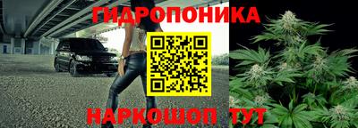 эйфоретик Свободный