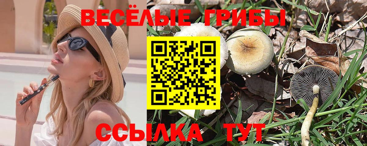 купить наркоту  Галлюциногенные грибы прущие грибы  Вход с VPN  Северобайкальск 